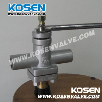 Plug en acier forgé Valve (X13)